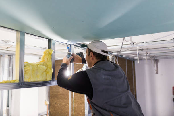 Best Cellulose Insulation in Mona, UT