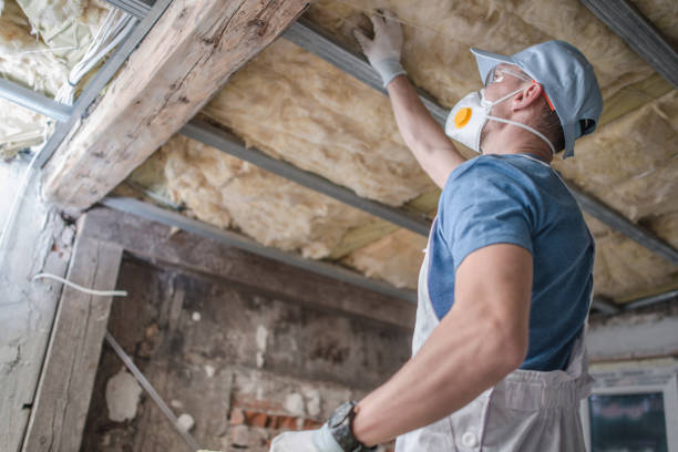 Best Geographic-Specific Insulation Services in Mona, UT