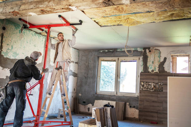 Best Cellulose Insulation in Mona, UT